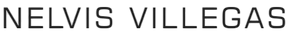 Nelvis Villegas International logo